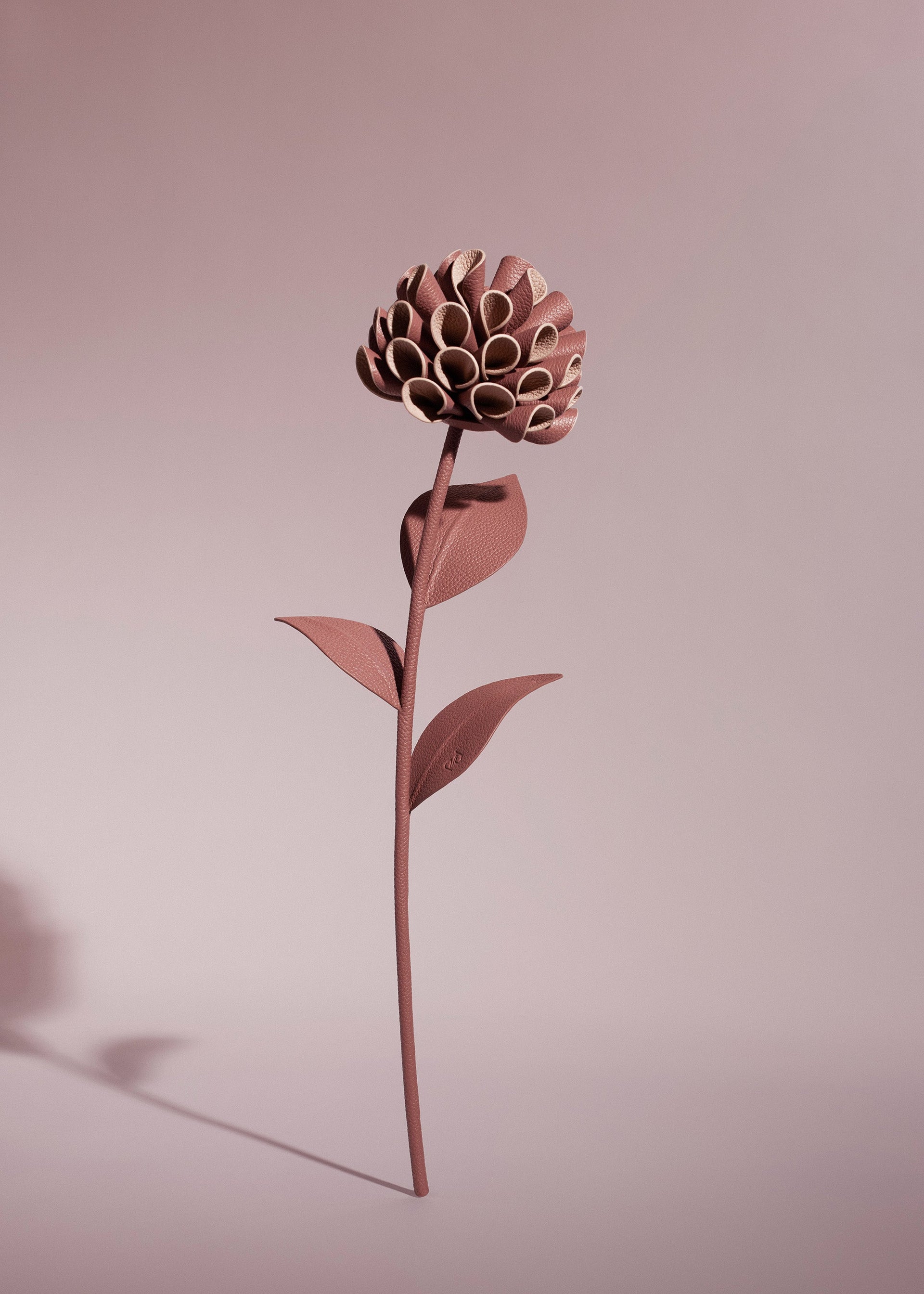 Flor Dalium - Duo Blush Piel Granulada