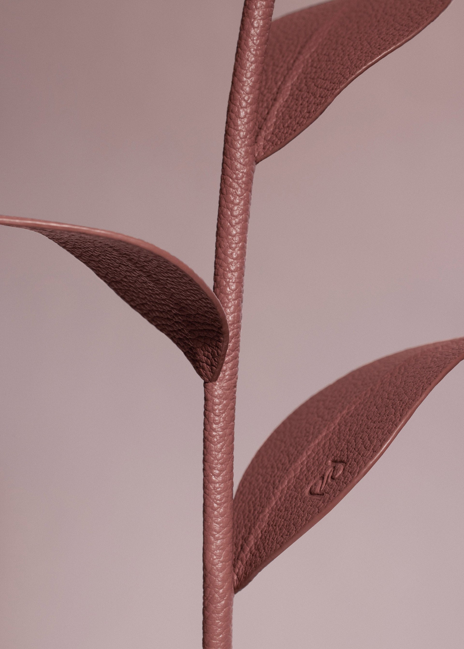 Flor Dalium - Duo Blush Piel Granulada