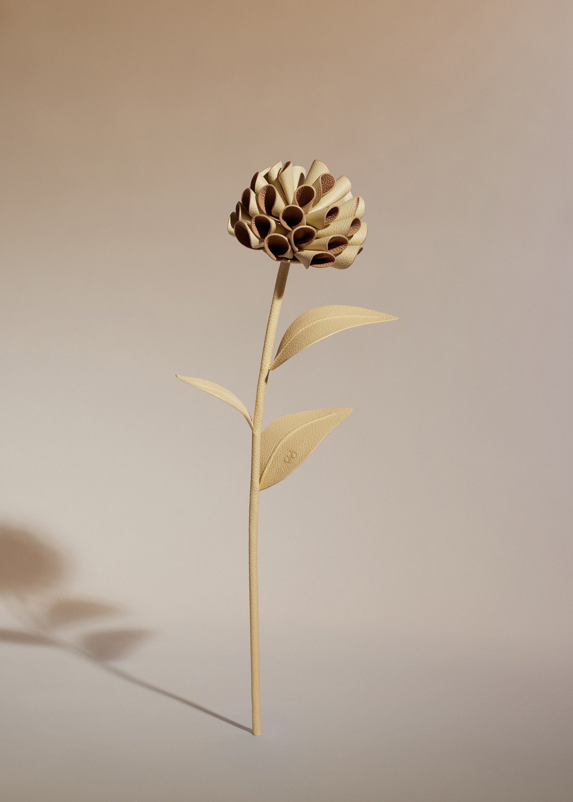 Flor Dalium - Dúo Trigo con Grano