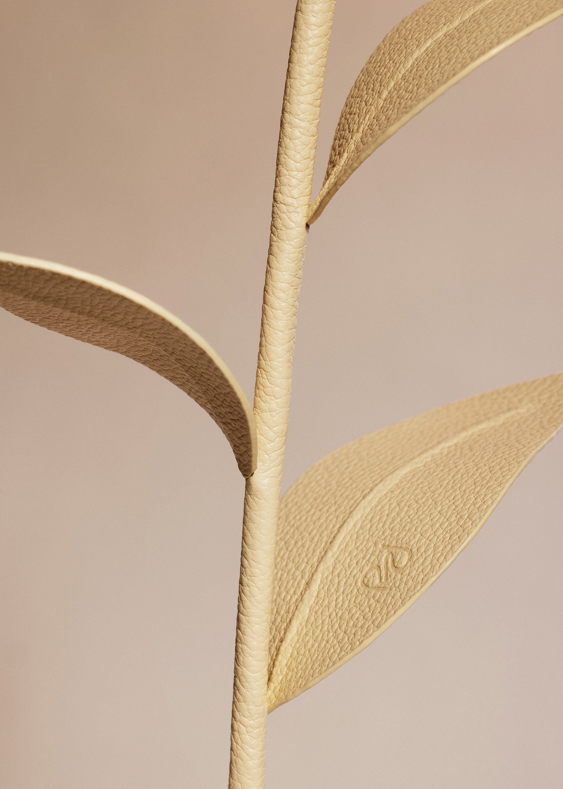 Flor Dalium - Dúo Trigo con Grano