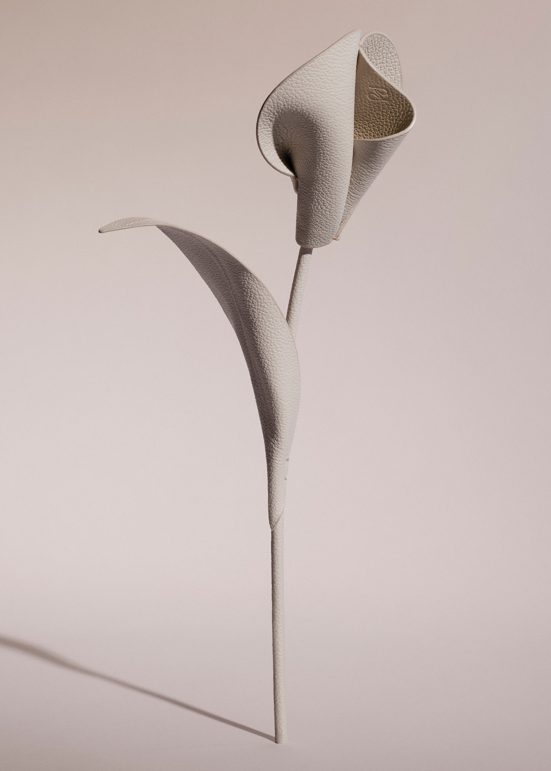 Flor Pili - Dúo Tiza con Grano