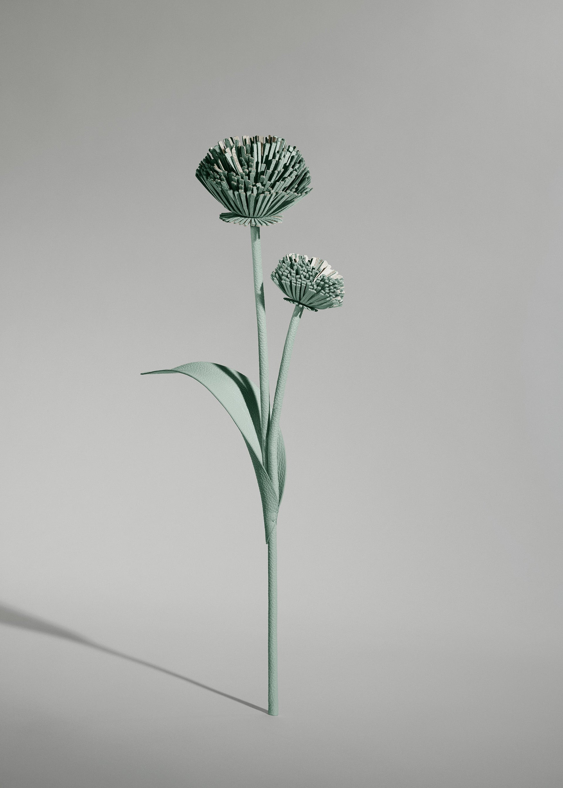 Flor Tul - Almendra Fresca