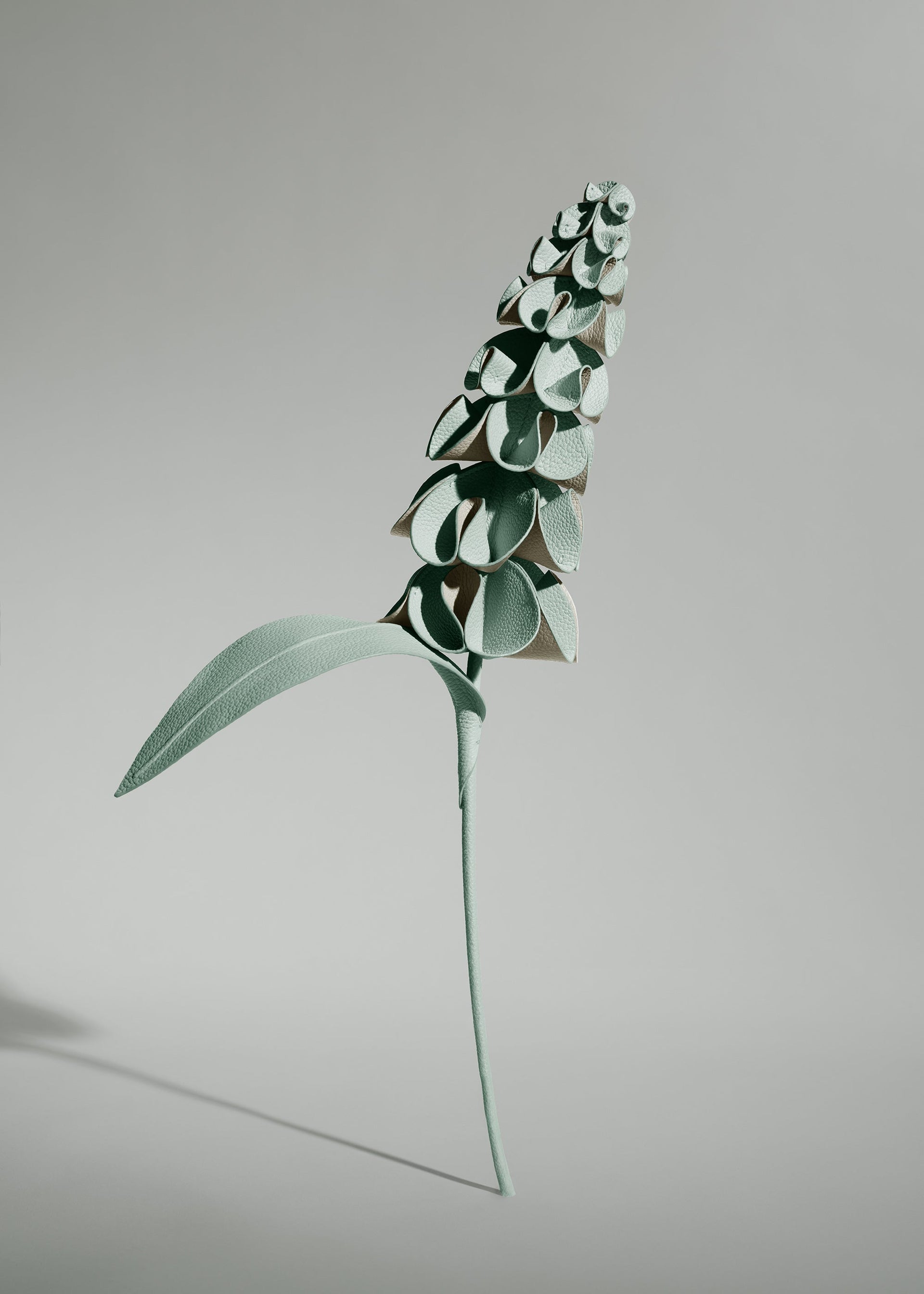 Flor Orki - Almendra Fresca