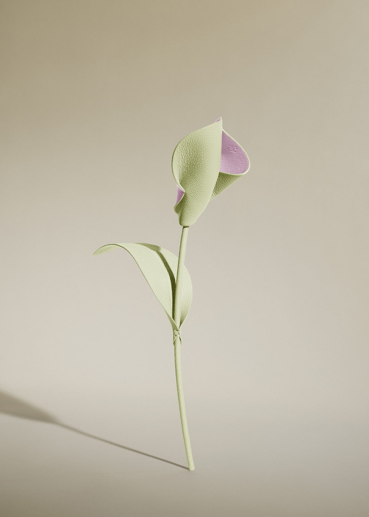 Flor Pili - Aloe