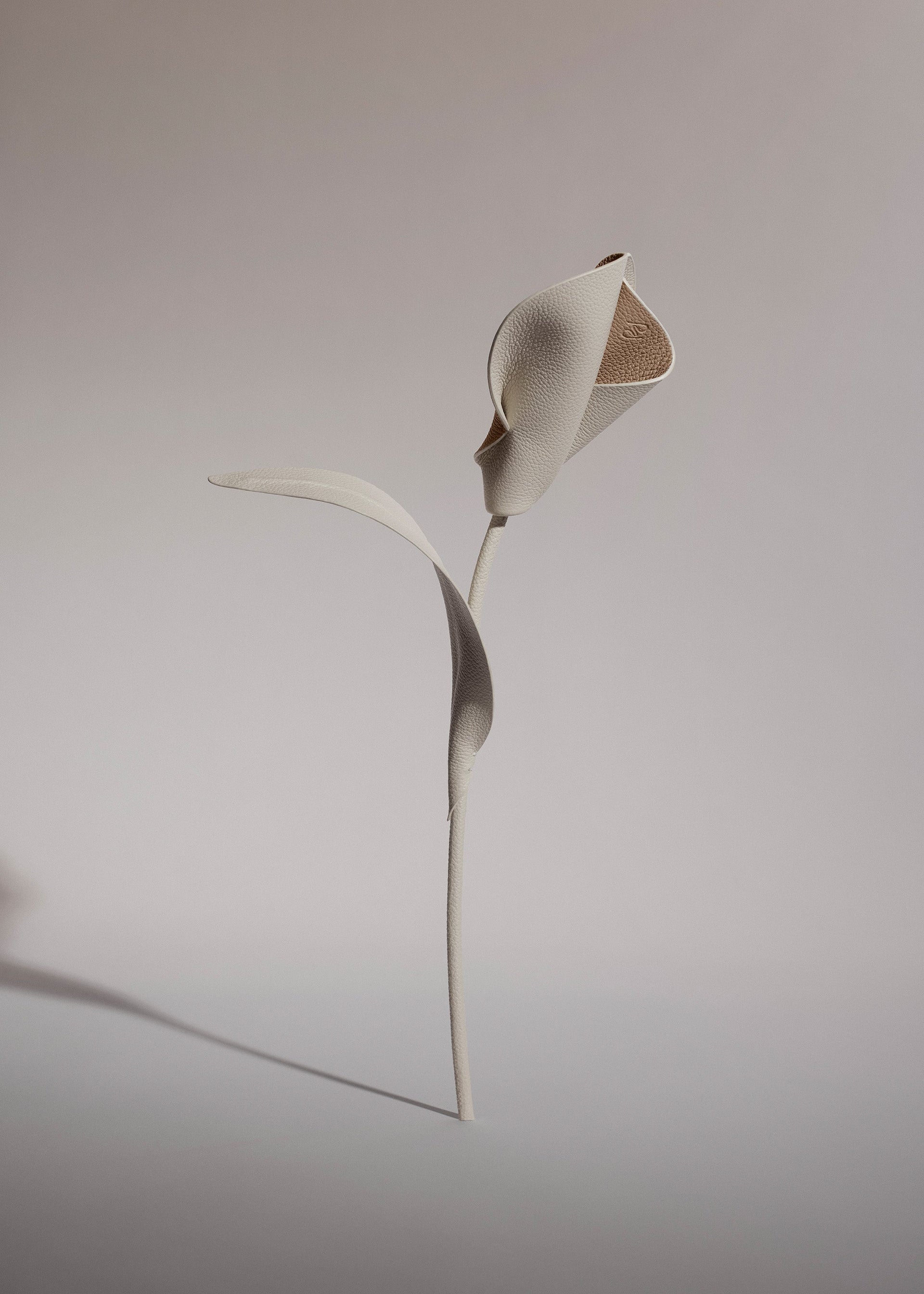 Flor Pili - Dúo Tiza