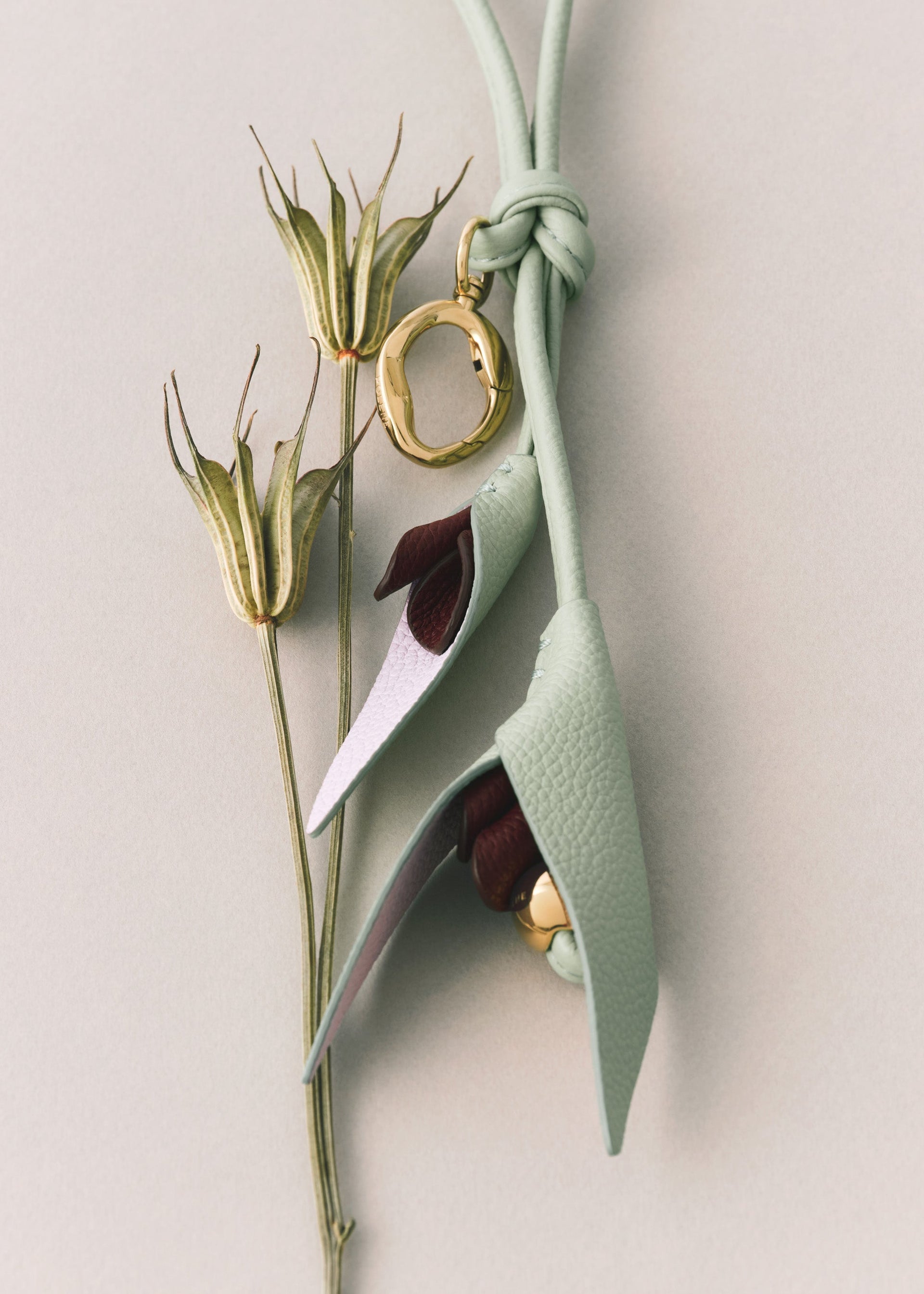 Charm Touka - Trío Cereza Negro