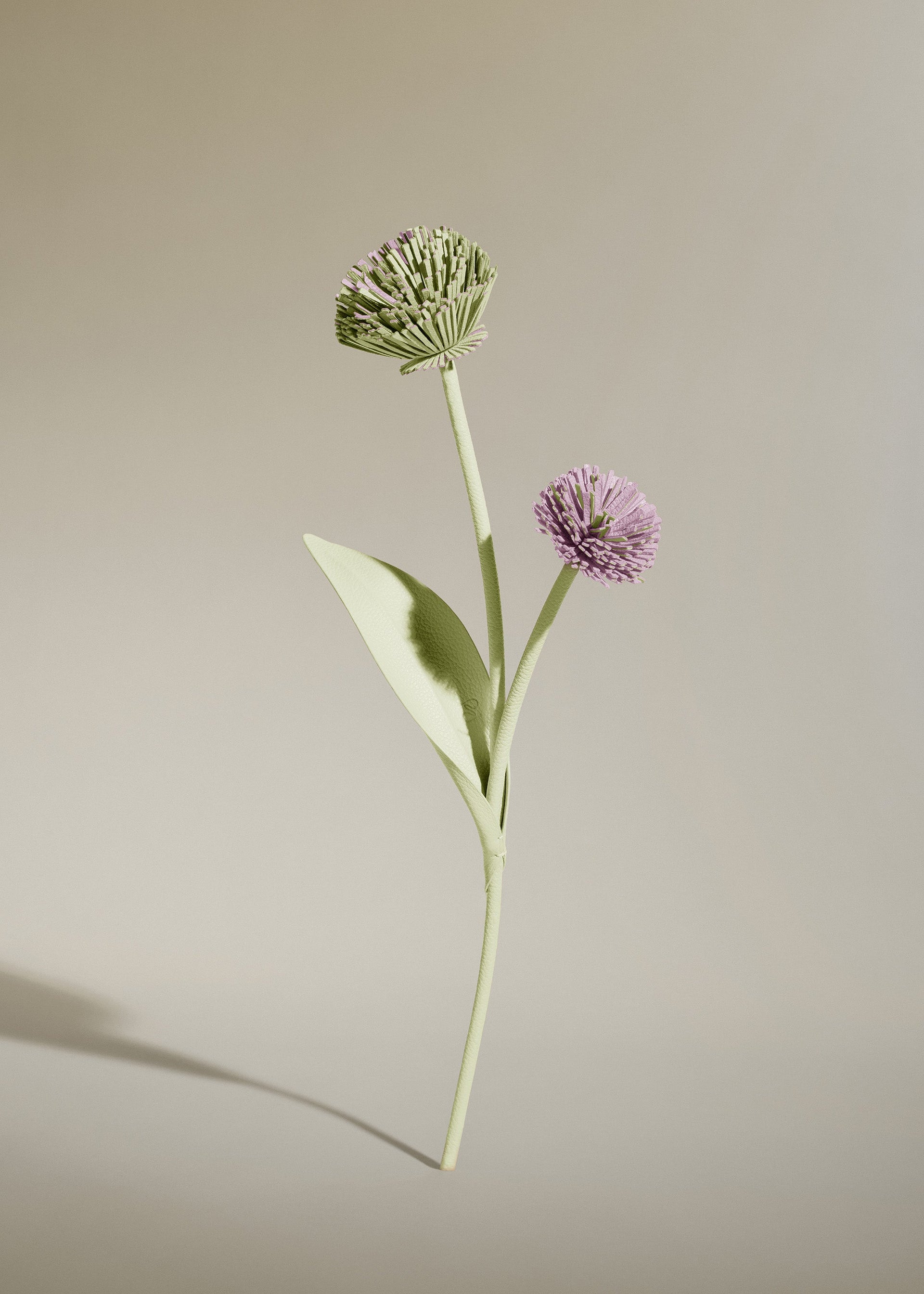 Flor Tul - Aloe