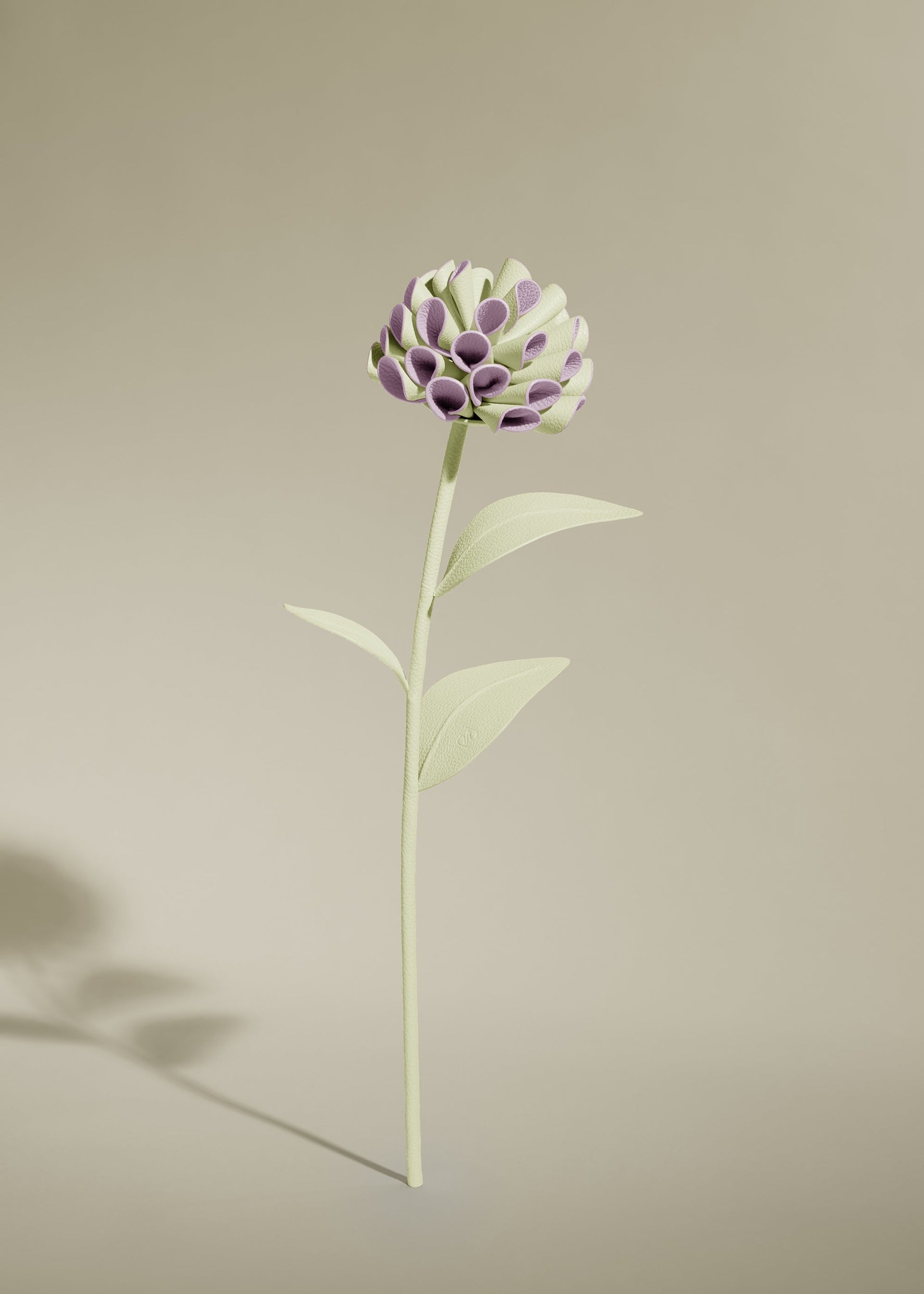 Flor Dalium - Aloe