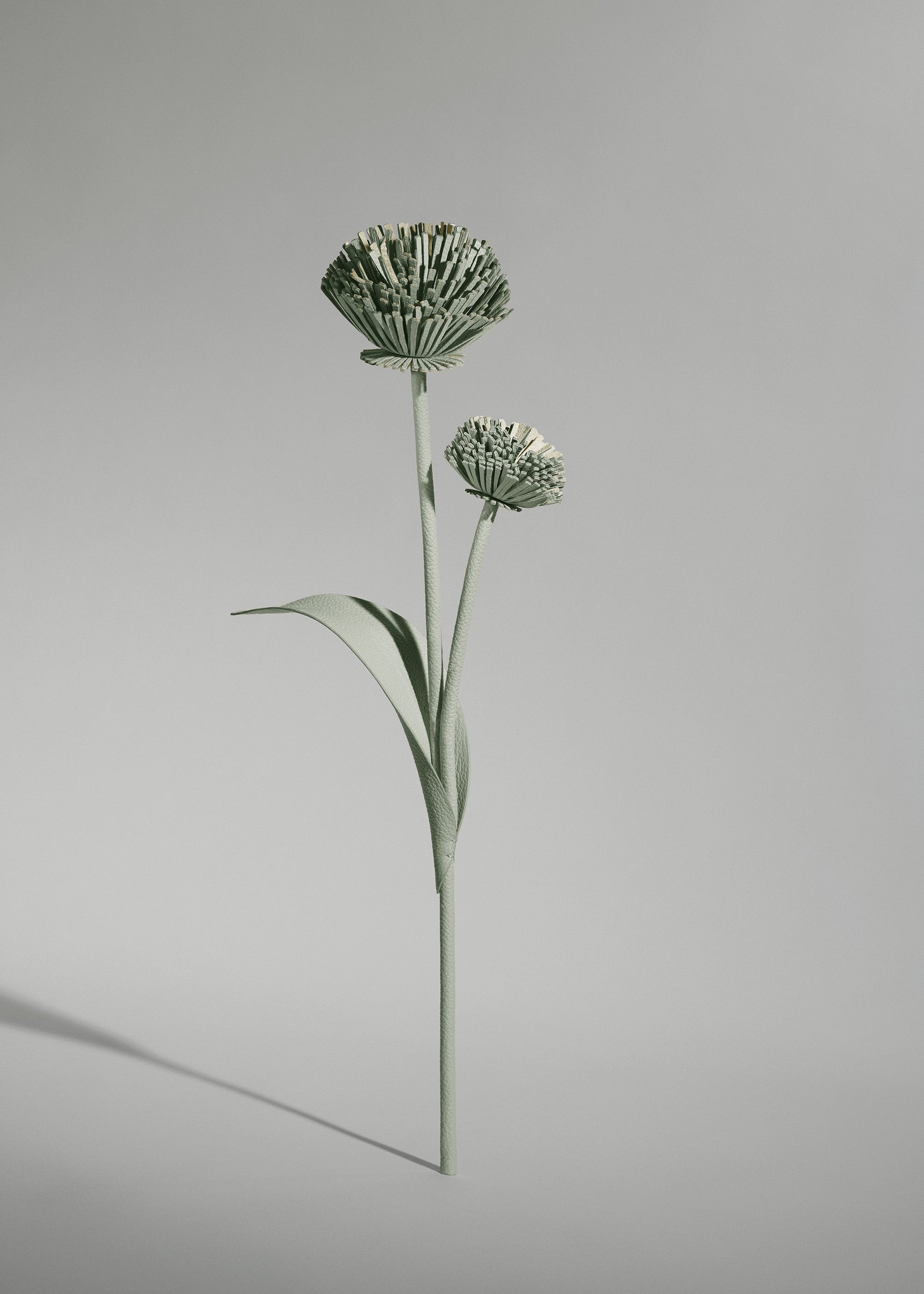 Flor Tul - Dúo Almendra Fresca