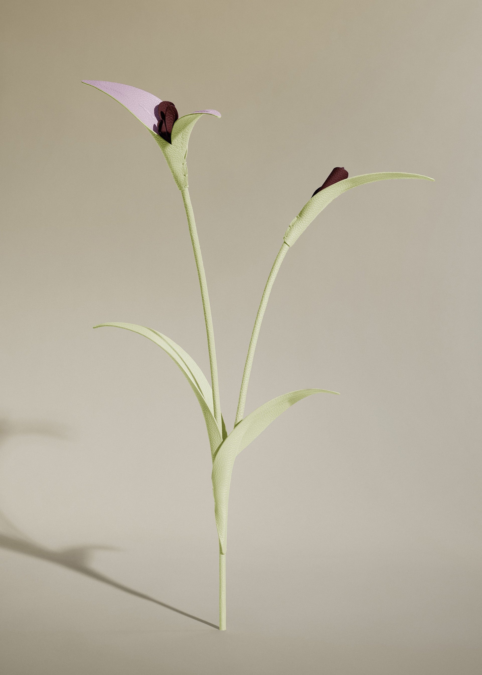 Flor Touka - Aloe
