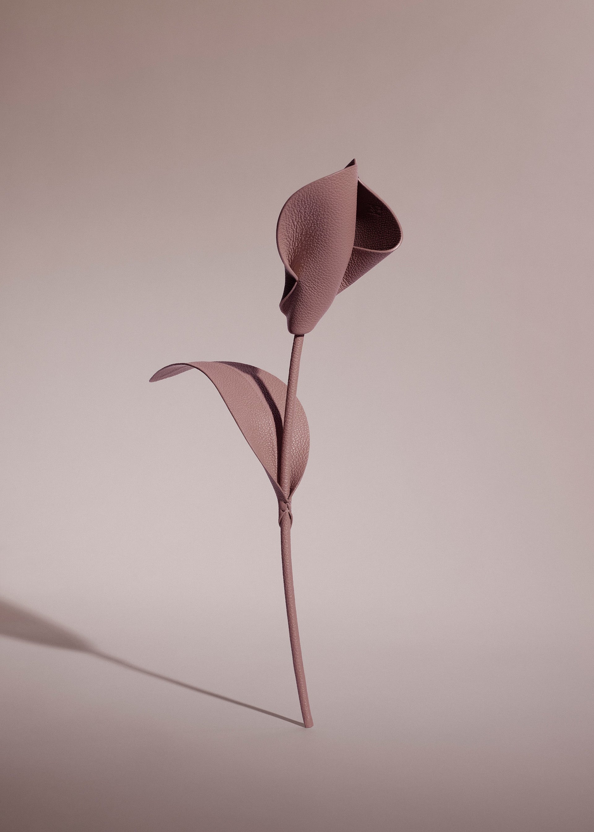 Flor Pili - Dúo Lila