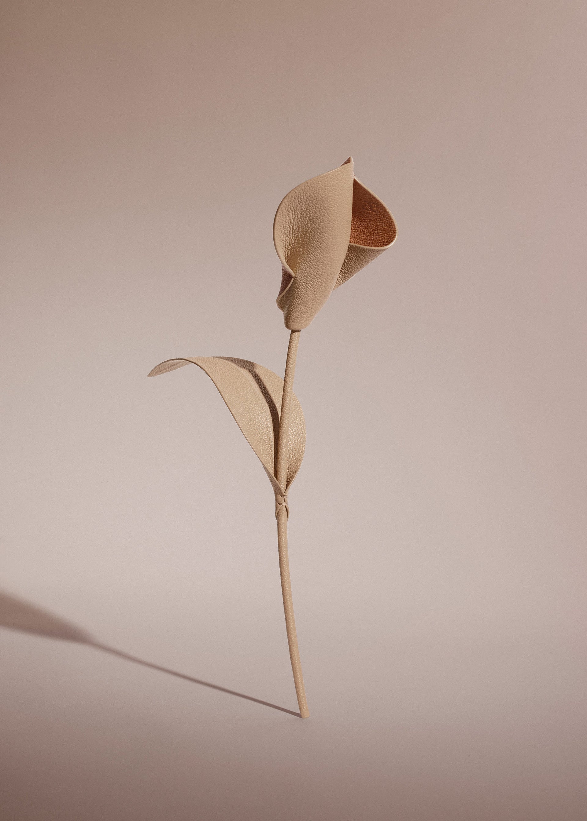 Flor Pili - Dúo Beige