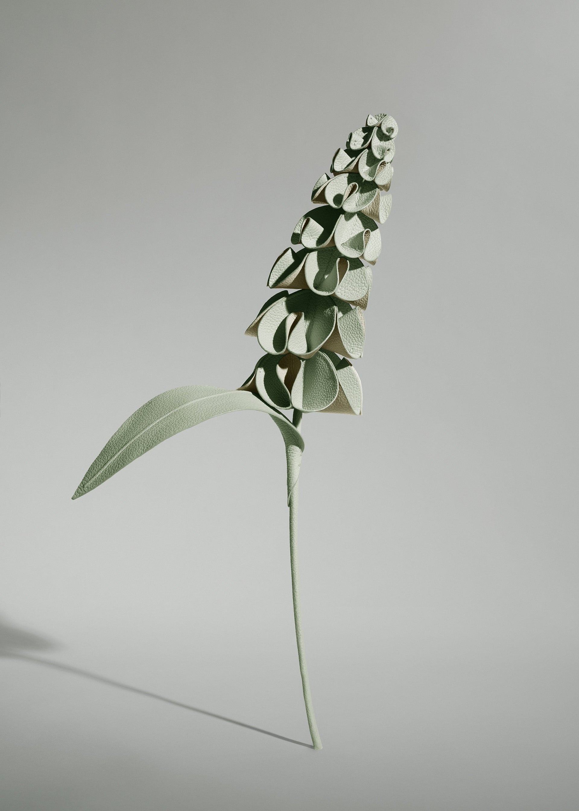 Flor Orki - Dúo Almendra Fresca