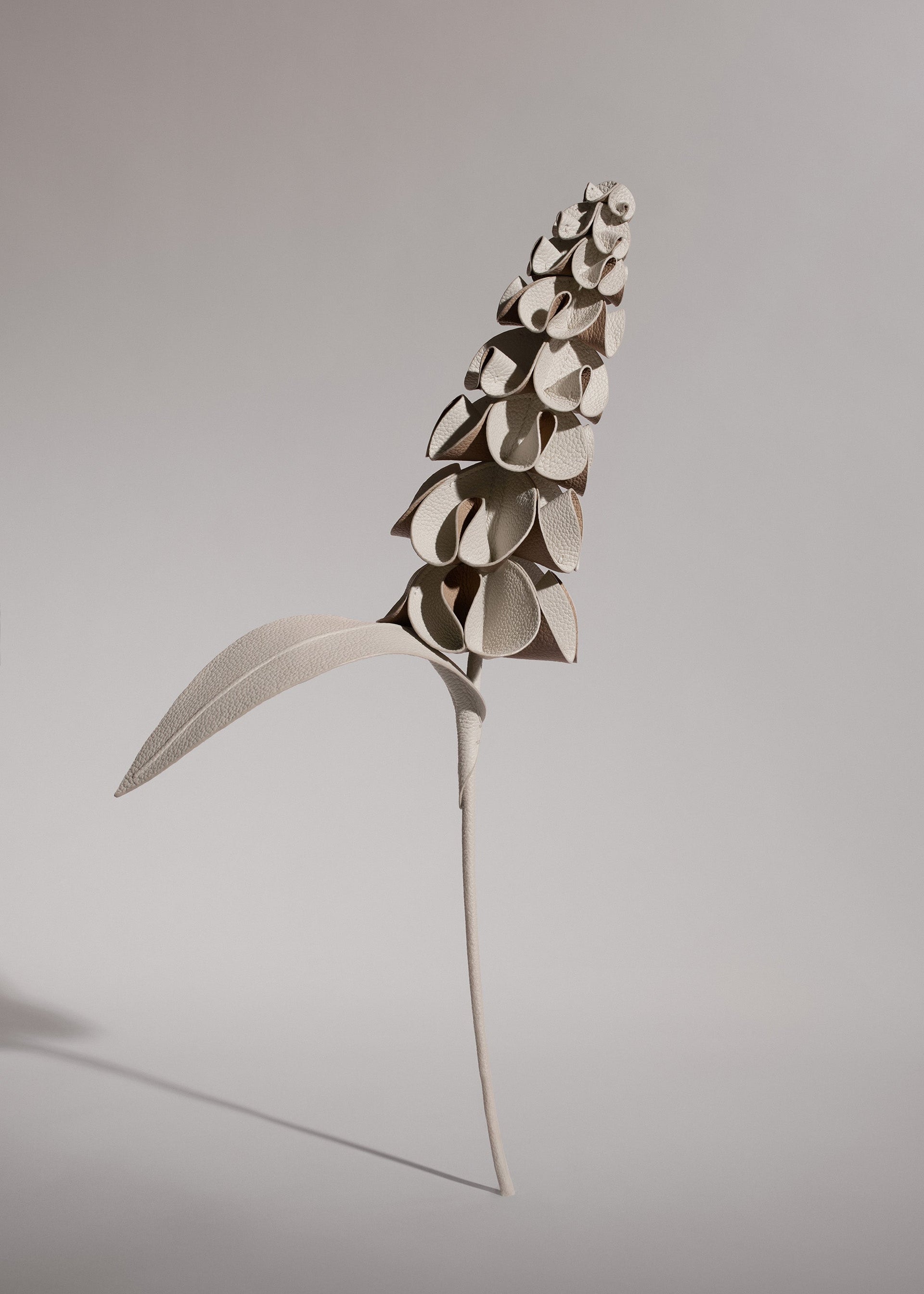 Flor Orki - Dúo Tiza