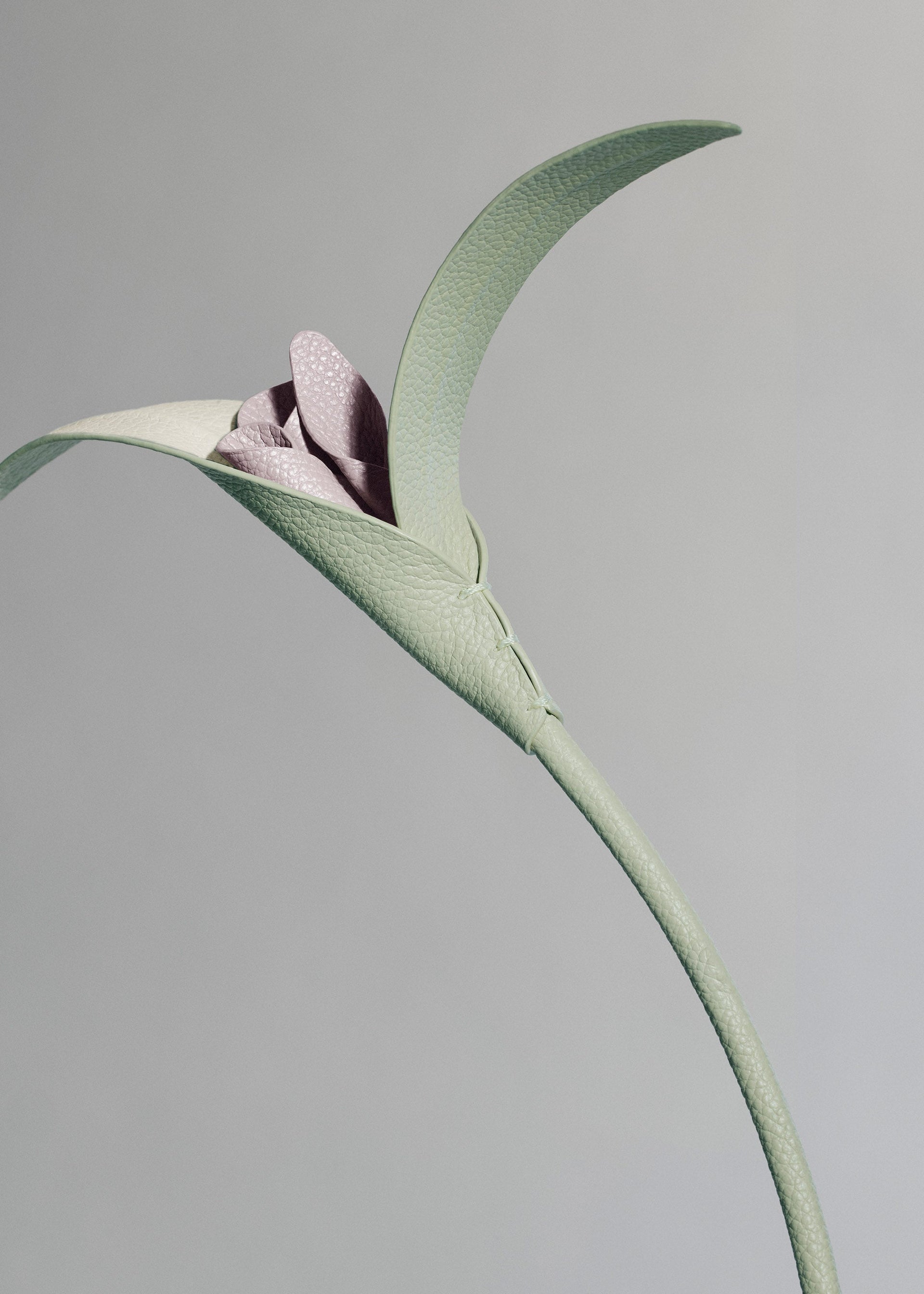 Flor Touka - Almendra Fresca