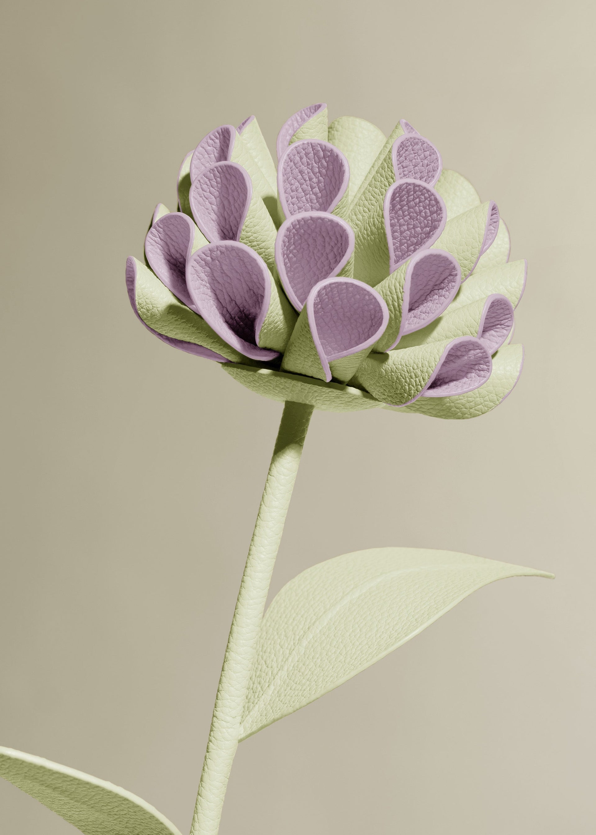 Flor Dalium - Aloe