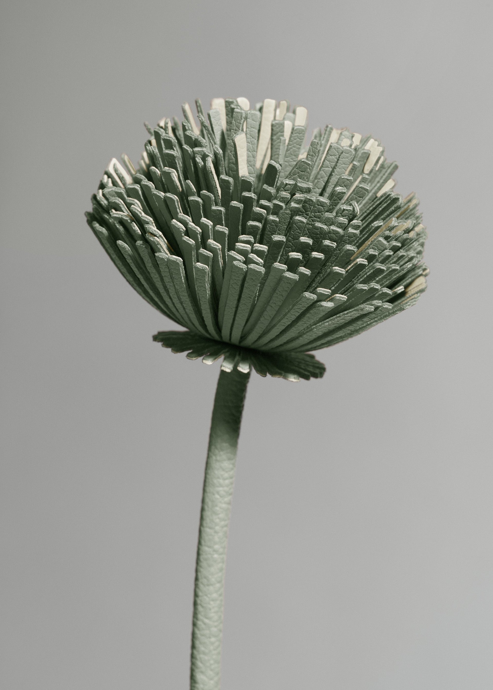 Flor Tul - Dúo Almendra Fresca