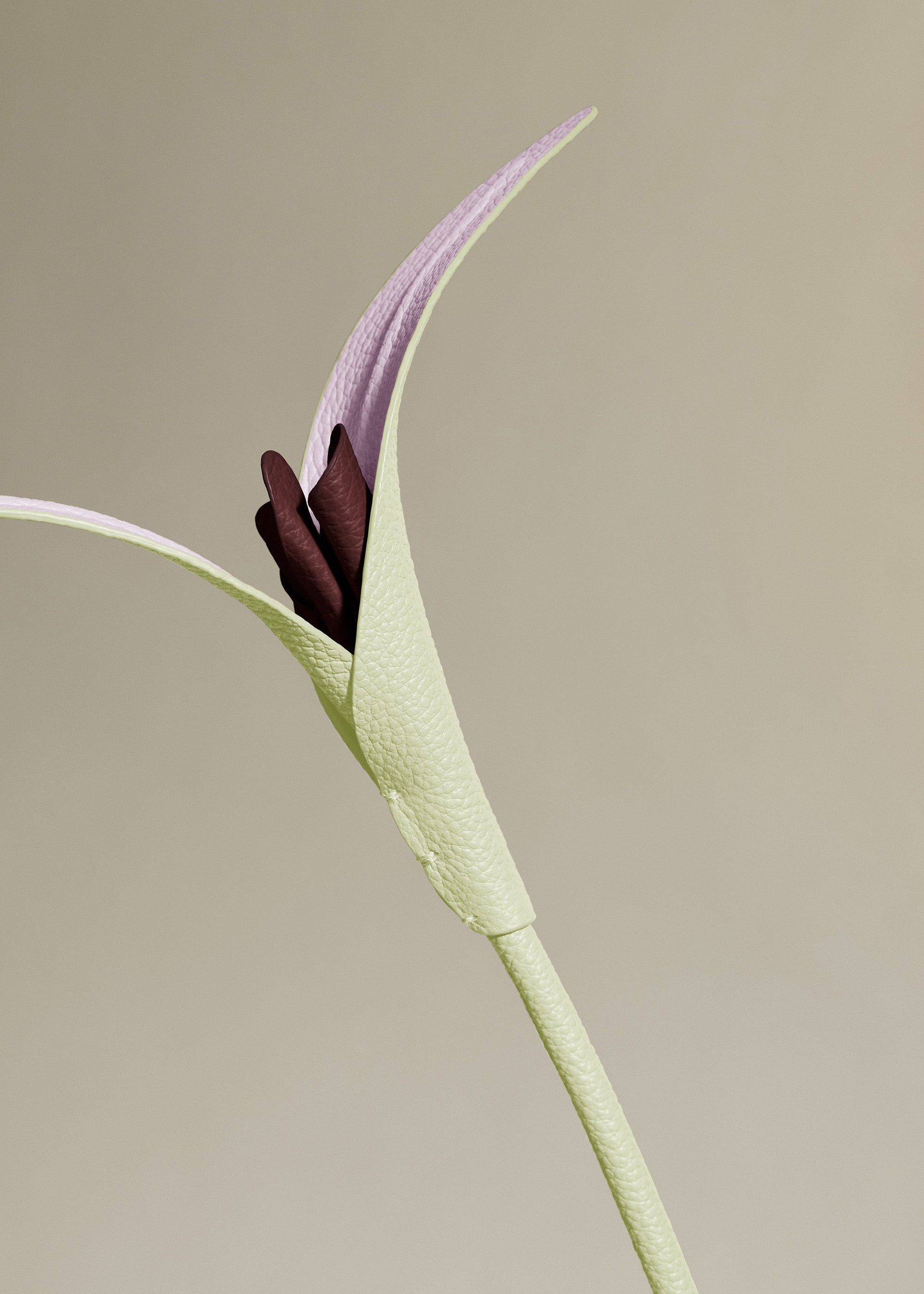 Flor Touka - Aloe