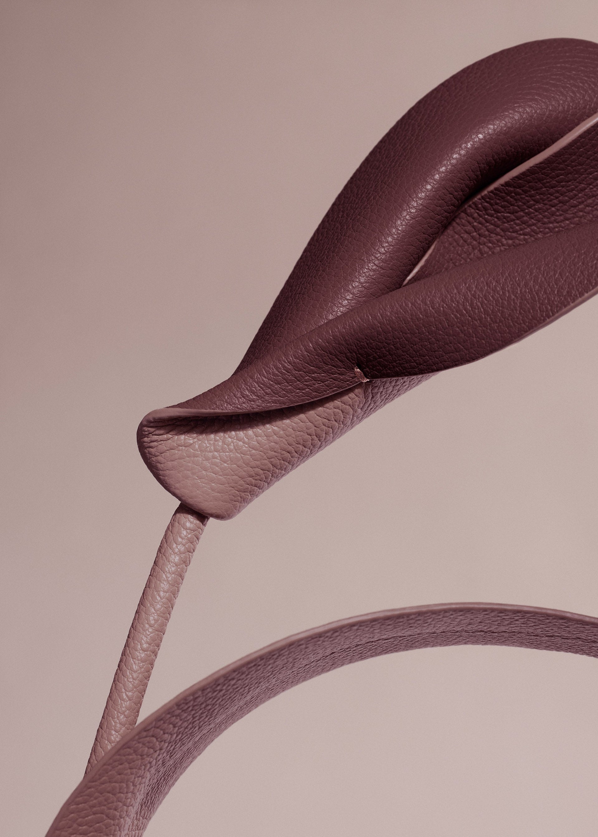 Flor Pili - Dúo Lila