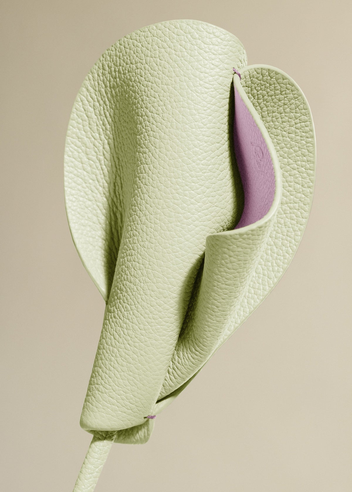 Flor Pili - Aloe
