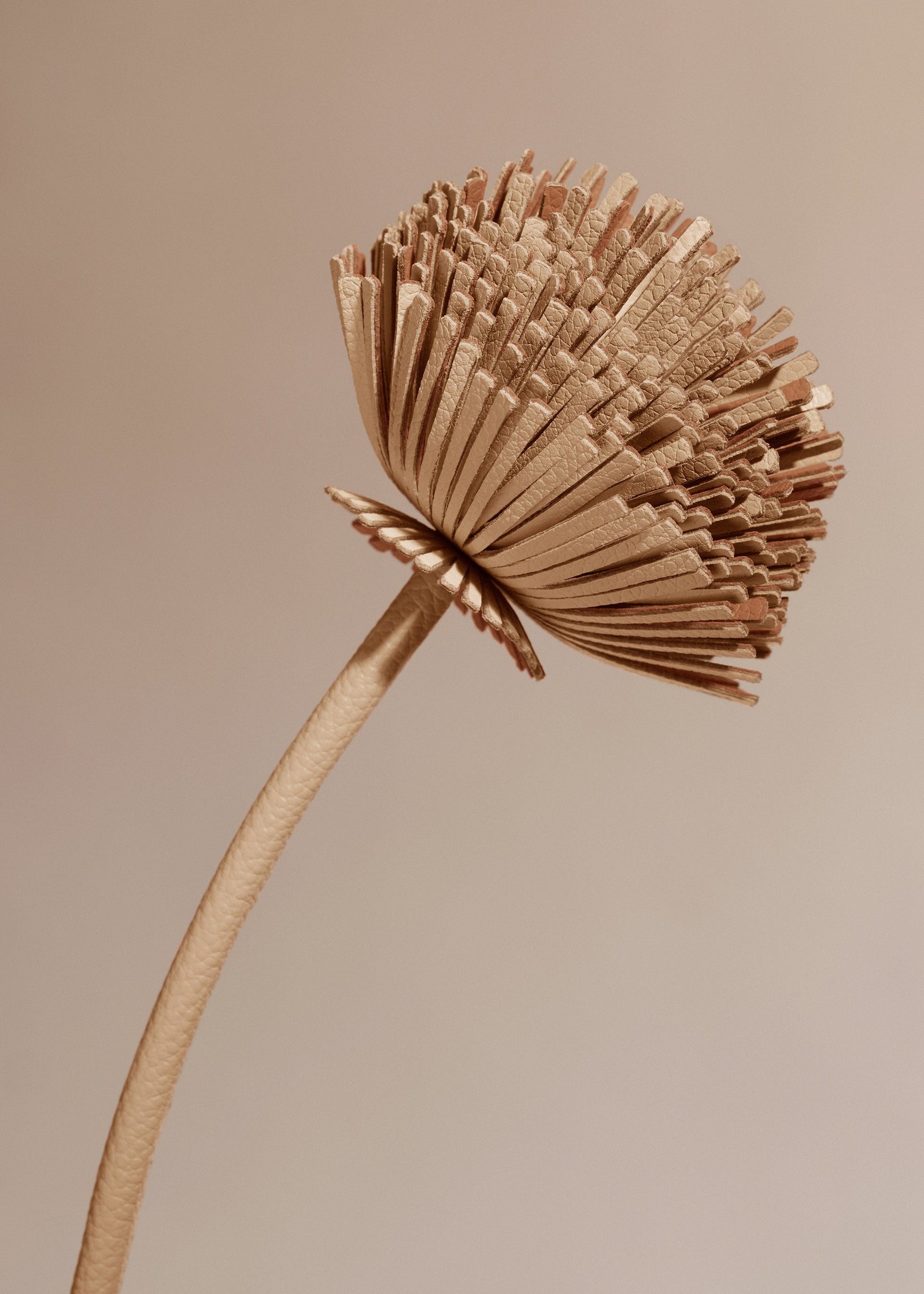 Charm Orki - Trío Beige