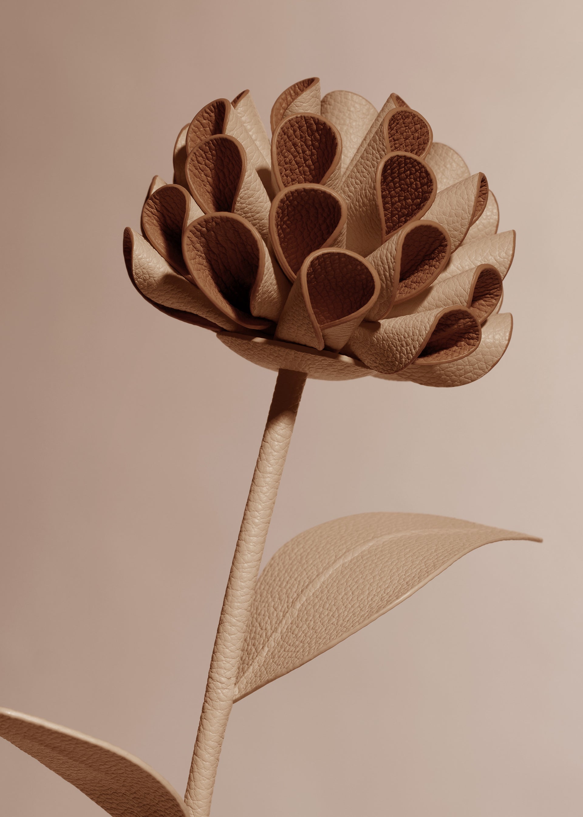 Flor Dalium -  Beige
