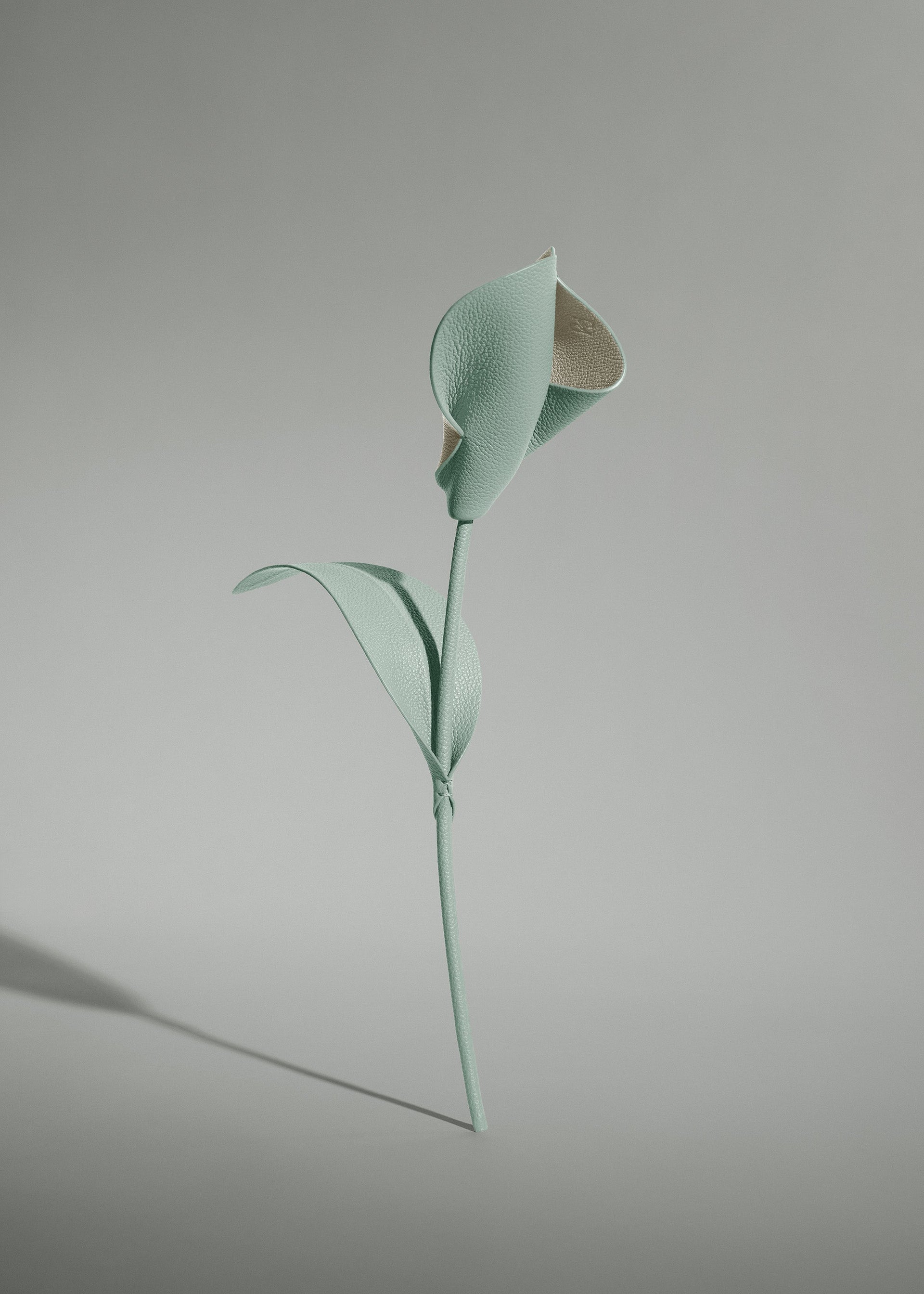 Flor Pili - Almendra Fresca