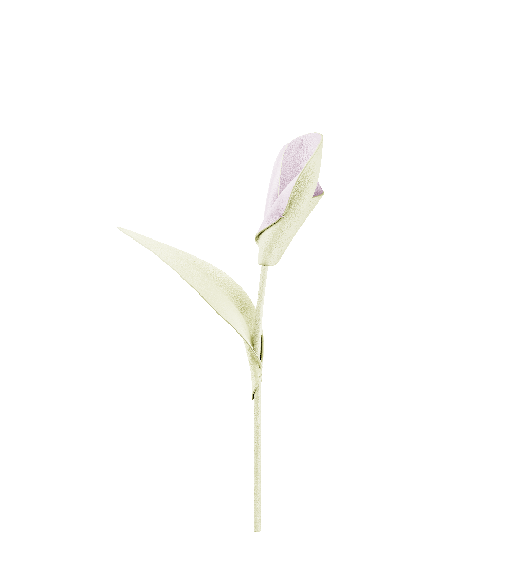 Flor Pili - Aloe